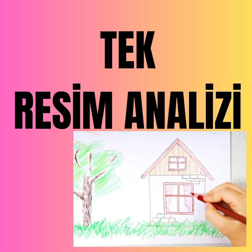 Tek resim analizi